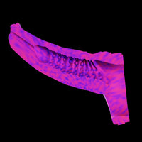 Extensor peniano Sirius com textura anatômica e impacto visual hipnotizante