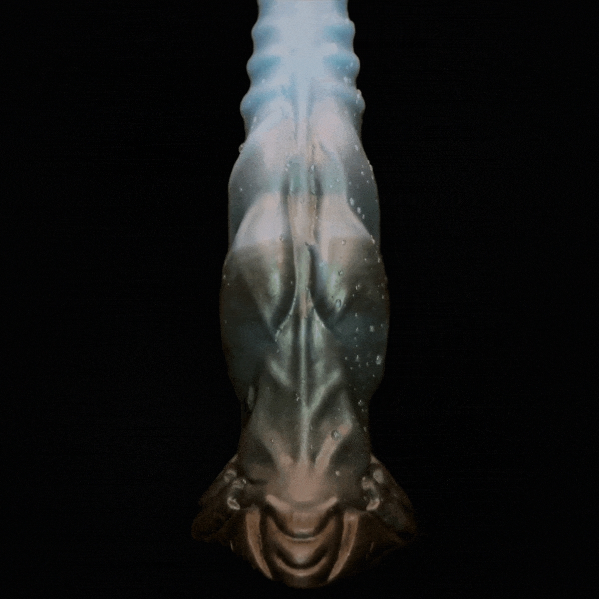 Dildo Anal Wolf Monster D